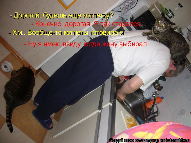- Дорогой, будешь еще котлетку? - Конечно, дорогая. Я так старался. - Хм.. Вообще-то котлеты готовила... Котоматрица: - Дорогой, будешь еще котлетку? - Конечно, дорогая. Я так старался. - Хм.. Вообще-то котлеты готовила я. - Ну я имею ввиду, когда жену выбирал.