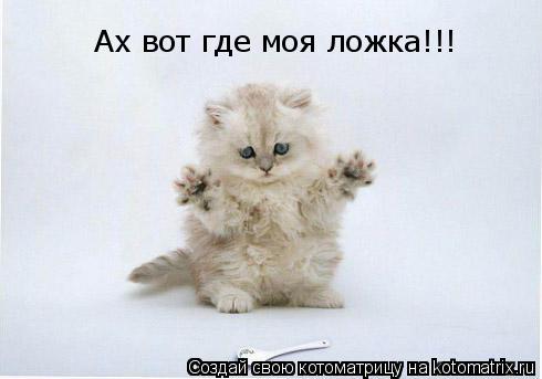 Ах вот где моя ложка!!!... Котоматрица: Ах вот где моя ложка!!!