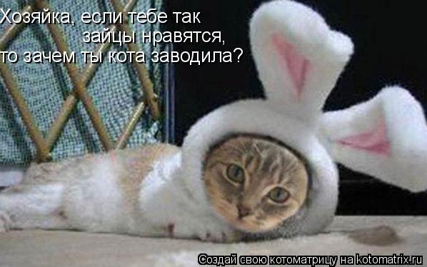 Котоматрица: Хозяйка, если тебе так зайцы нравятся,  то зачем ты кота заводила?