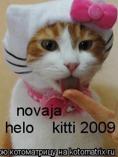 helo kitti 2009 novaja... Котоматрица: helo kitti 2009 novaja