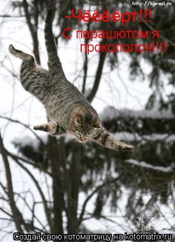 С парашютом я прокололся!!!! -Чёёёёрт!!!... Котоматрица: С парашютом я прокололся!!!! -Чёёёёрт!!!