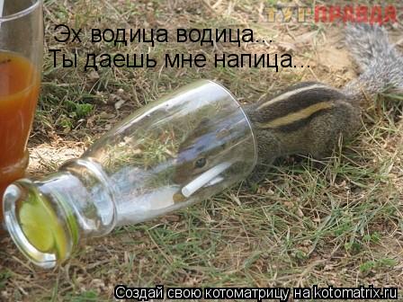Эх водица водица... Ты даешь мне напица...... Котоматрица: Эх водица водица... Ты даешь мне напица...