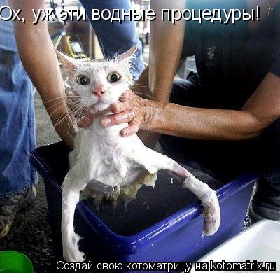 Котоматрица: Ох, уж эти водные процедуры!