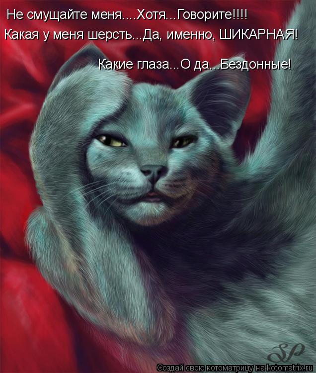 Котоматрица: Не смущайте меня....Хотя...Говорите!!!! Какая у меня шерсть...Да, именно, ШИКАРНАЯ! Какие глаза...О да...Бездонные!