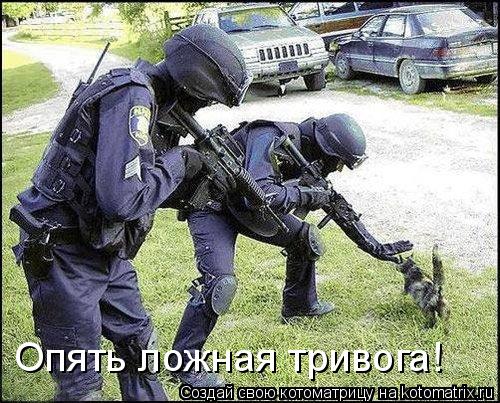 Опять ложная тривога!... Котоматрица: Опять ложная тривога!