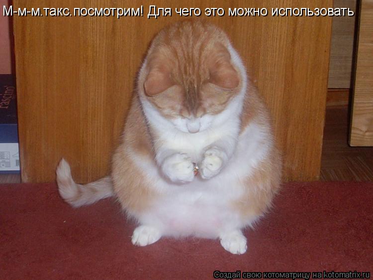 М-м-м.такс.посмотрим! Для чего это можно использовать... Котоматрица: М-м-м.такс.посмотрим! Для чего это можно использовать