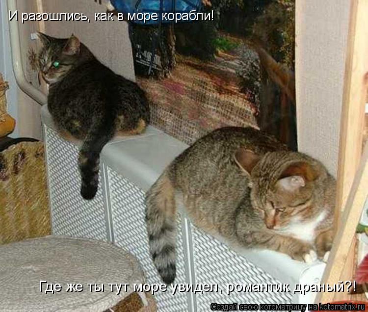 И разошлись, как в море корабли! Где же ты тут море увидел, романтик драный?!... Котоматрица: И разошлись, как в море корабли! Где же ты тут море увидел, романтик драный?!