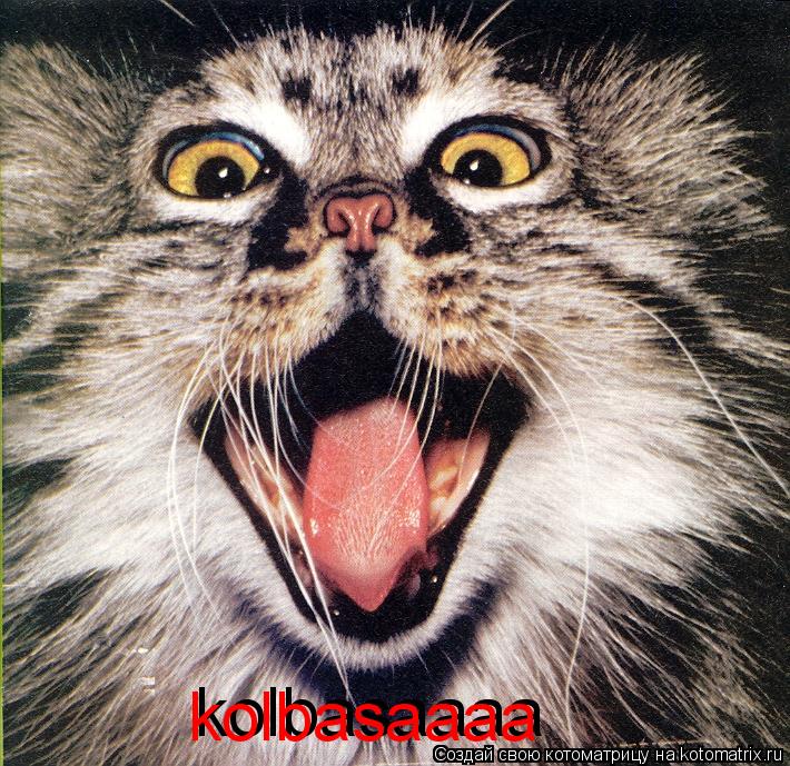kolbasaaaa kolbasaaaa... Котоматрица: kolbasaaaa kolbasaaaa