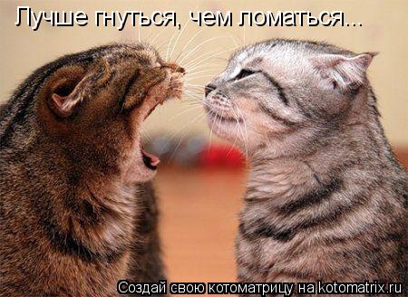 Лучше гнуться, чем ломаться...... Котоматрица: Лучше гнуться, чем ломаться...