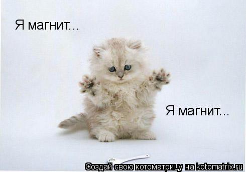 Я магнит... Я магнит...... Котоматрица: Я магнит... Я магнит...