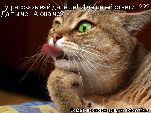 Ну, рассказывай дальше! И чё он ей ответил??? Да ты чё...А она чё?... Котоматрица: Ну, рассказывай дальше! И чё он ей ответил??? Да ты чё...А она чё?