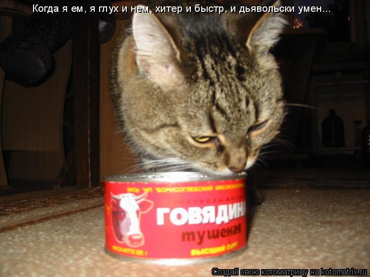 Котоматрица: Когда я ем, я глух и нем, хитер и быстр, и дьявольски умен...