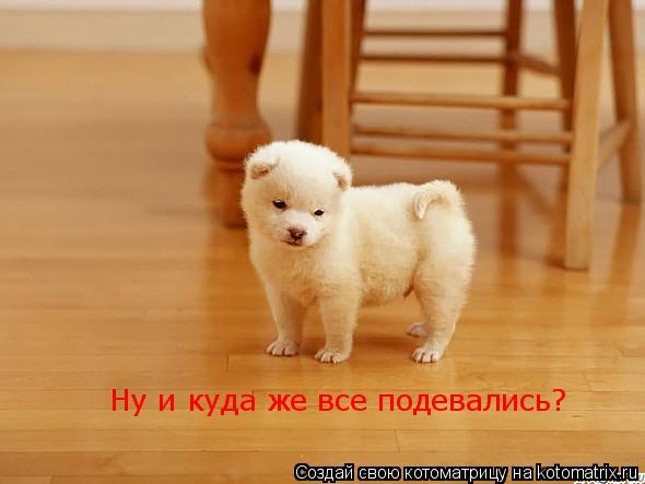 Ну и куда же все подевались?... Котоматрица: Ну и куда же все подевались?