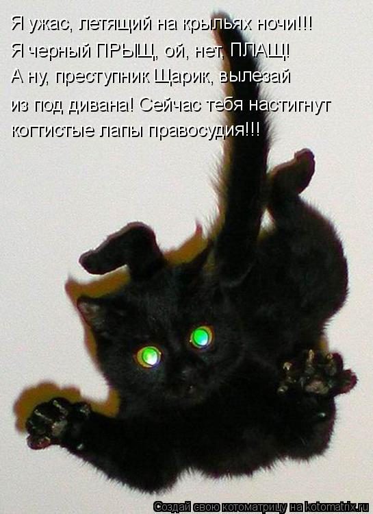 Я ужас, летящий на крыльях ночи!!! Я черный ПРЫЩ, ой, нет, ПЛАЩ! А ну, преступник Щарик, вылезай из п... Котоматрица: Я ужас, летящий на крыльях ночи!!! Я черный ПРЫЩ, ой, нет, ПЛАЩ! А ну, преступник Щарик, вылезай из под дивана! Сейчас тебя настигнут когтистые л