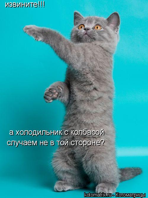 Котоматрица: извините!!! а холодильник с колбасой случаем не в той стороне?