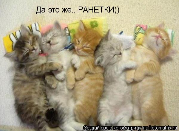 Да это же...РАНЕТКИ))... Котоматрица: Да это же...РАНЕТКИ))