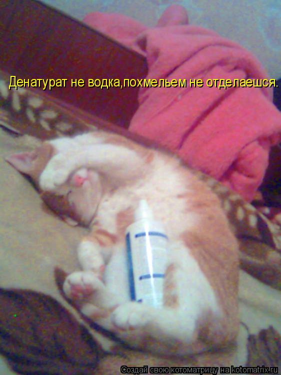 Денатурат не водка,похмельем не отделаешся.... Котоматрица: Денатурат не водка,похмельем не отделаешся.