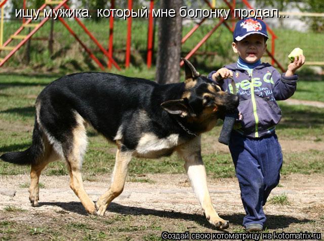 ищу мужика. который мне болонку продал...... Котоматрица: ищу мужика. который мне болонку продал...