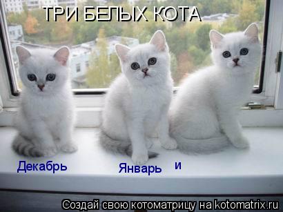 ТРИ БЕЛЫХ КОТА ТРИ БЕЛЫХ КОТА Декабрь Январь и... Котоматрица: ТРИ БЕЛЫХ КОТА ТРИ БЕЛЫХ КОТА Декабрь Январь и