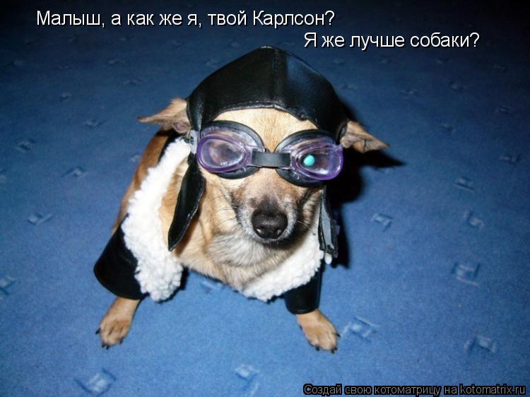 Малыш, а как же я, твой Карлсон? Я же лучше собаки?... Котоматрица: Малыш, а как же я, твой Карлсон? Я же лучше собаки?
