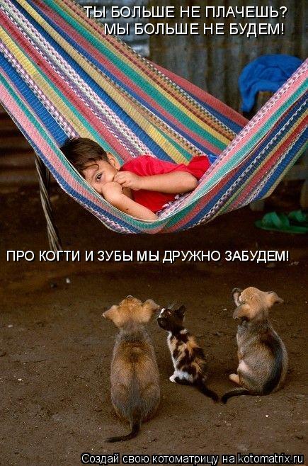 Котоматрица: ТЫ БОЛЬШЕ НЕ ПЛАЧЕШЬ? МЫ БОЛЬШЕ НЕ БУДЕМ! ПРО КОГТИ И ЗУБЫ МЫ ДРУЖНО ЗАБУДЕМ!