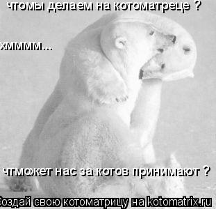 Котоматрица: чтомы делаем на котоматреце ? чтможет нас за котов принимают ? хмммм...