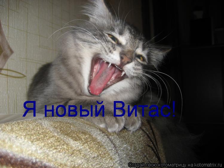 Котоматрица: Я новый Витас! Я новый Витас! Я новый Витас!