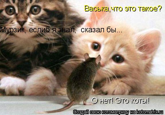 О нет! Это коты! Васька,что это такое? Мурзик, еслиб я знал, сказал бы...... Котоматрица: О нет! Это коты! Васька,что это такое? Мурзик, еслиб я знал, сказал бы...
