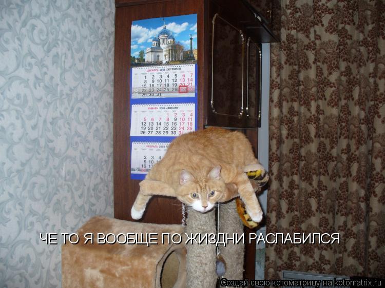 ЧЕ ТО Я ВООБЩЕ ПО ЖИЗДНИ РАСЛАБИЛСЯ... Котоматрица: ЧЕ ТО Я ВООБЩЕ ПО ЖИЗДНИ РАСЛАБИЛСЯ