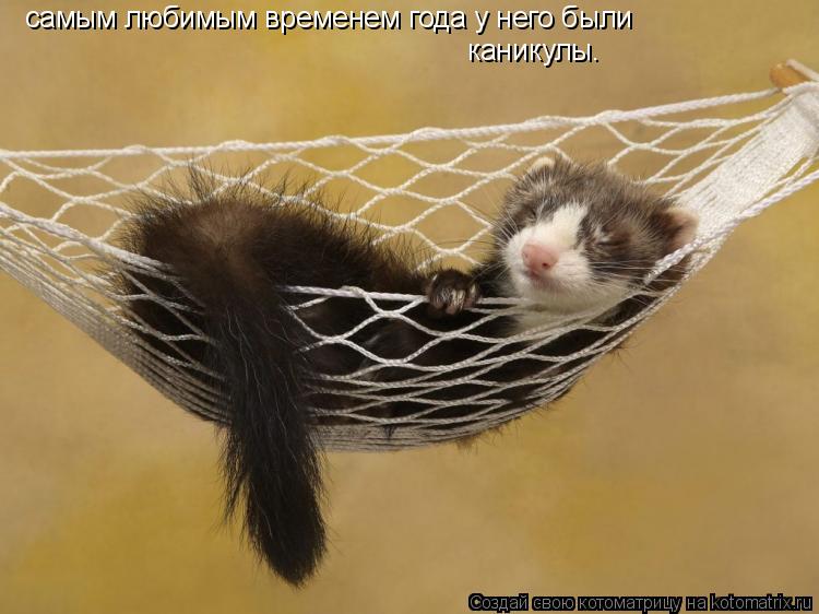 самым любимым временем года у него были каникулы.... Котоматрица: самым любимым временем года у него были каникулы.