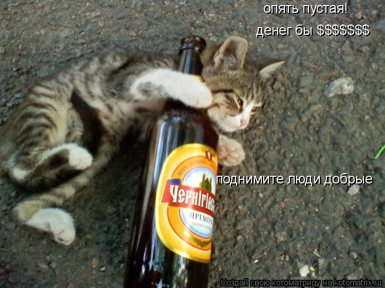 денег бы $$$$$$$ опять пустая! поднимите люди добрые... Котоматрица: денег бы $$$$$$$ опять пустая! поднимите люди добрые