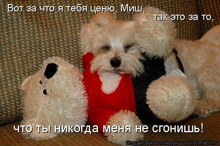 Вот за что я тебя ценю, Миш, так это за то, что ты никогда меня не сгонишь!... Котоматрица: Вот за что я тебя ценю, Миш, так это за то, что ты никогда меня не сгонишь!