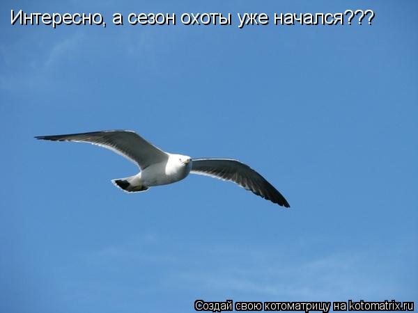 Интересно, а сезон охоты уже начался???... Котоматрица: Интересно, а сезон охоты уже начался???