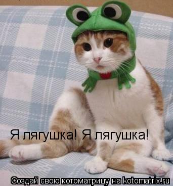 Я лягушка! Я лягушка!... Котоматрица: Я лягушка! Я лягушка!