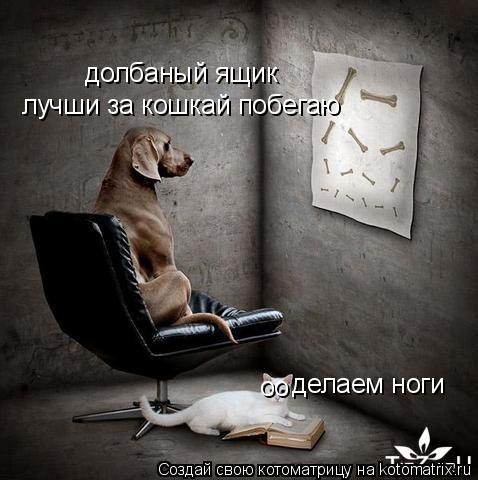 долбаный ящик лучши за кошкай побегаю оо делаем ноги... Котоматрица: долбаный ящик лучши за кошкай побегаю оо делаем ноги