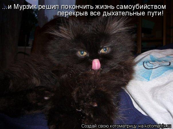 Котоматрица: ...и Мурзик решил покончить жизнь самоубийством перекрыв все дыхательные пути!