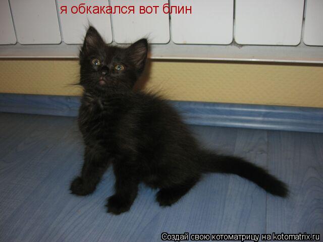 Котоматрица: я обкакался вот блин