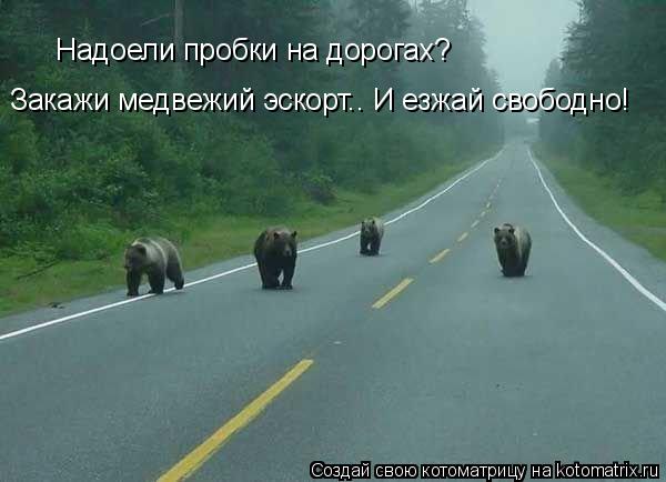 Котоматрица: Надоели пробки на дорогах? Закажи медвежий эскорт.. И езжай свободно!