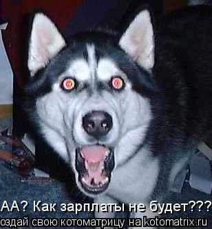 АА? Как зарплаты не будет?????... Котоматрица: АА? Как зарплаты не будет?????