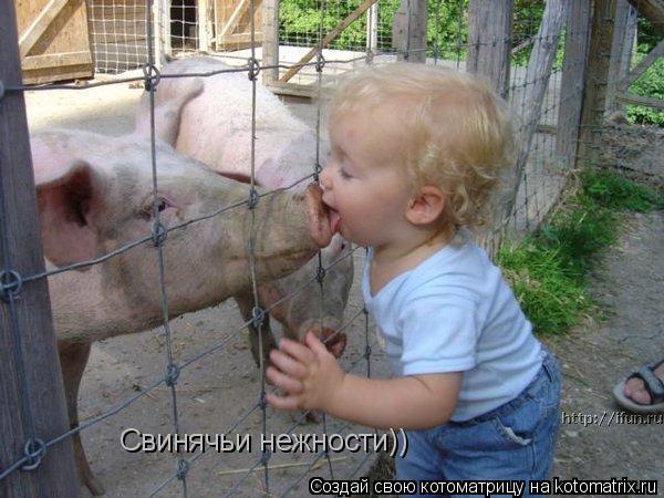 Котоматрица: Свинячьи нежности))