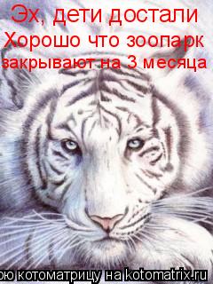 Эх, дети достали Хорошо что зоопарк закрывают на 3 месяца... Котоматрица: Эх, дети достали Хорошо что зоопарк закрывают на 3 месяца