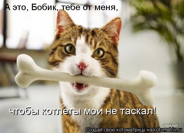 Котоматрица: А это, Бобик, тебе от меня, чтобы котлеты мои не таскал!