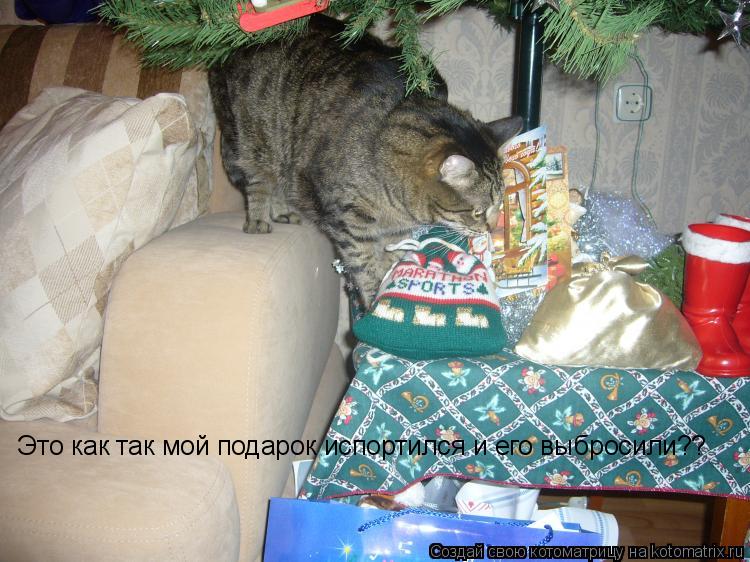 Котоматрица: Это как так мой подарок испортился и его выбросили??