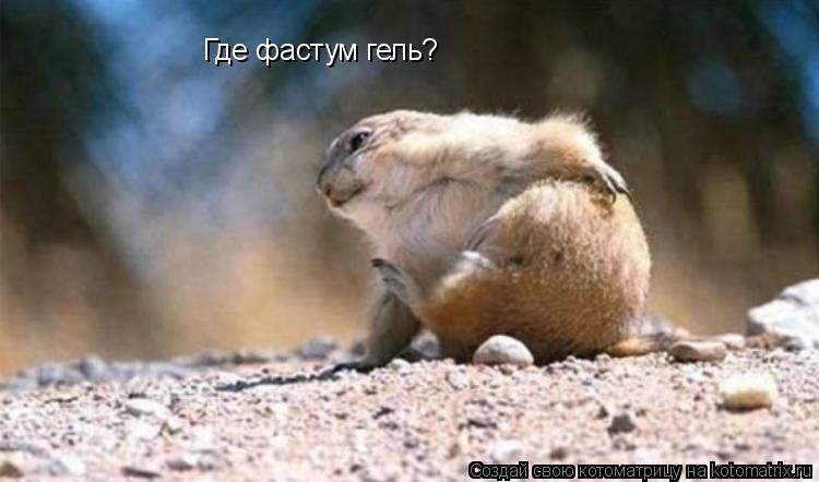 Котоматрица: Где фастум гель?