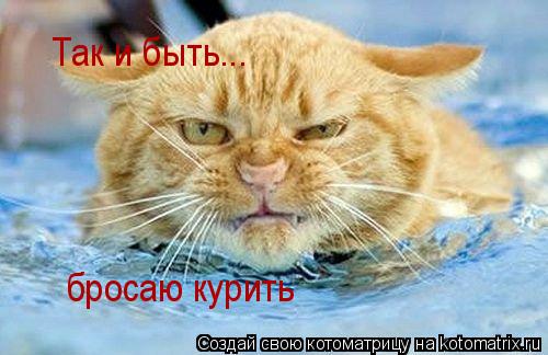 Котоматрица: Так и быть... бросаю курить
