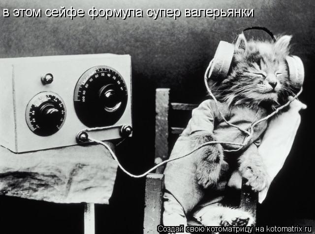 в этом сейфе формула супер валерьянки... Котоматрица: в этом сейфе формула супер валерьянки