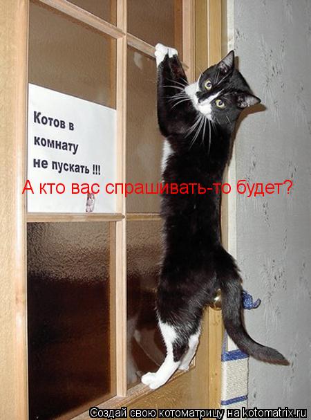 Котоматрица: А кто вас спрашивать-то будет?