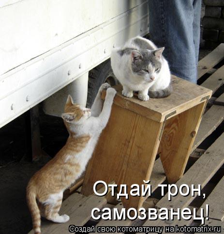 самозванец! Отдай трон,... Котоматрица: самозванец! Отдай трон,