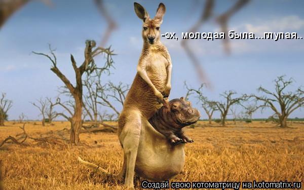 Котоматрица: -эх, молодая была...глупая....
