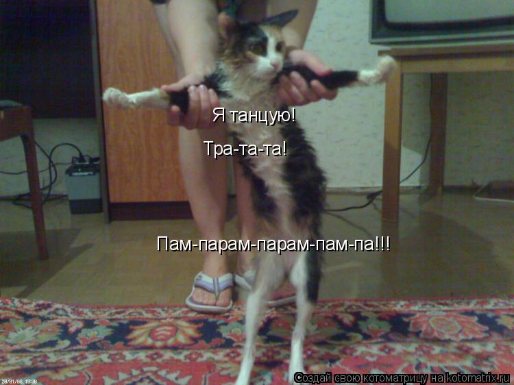 Я танцую! Тра-та-та! Пам-парам-парам-пам-па!!!... Котоматрица: Я танцую! Тра-та-та! Пам-парам-парам-пам-па!!!